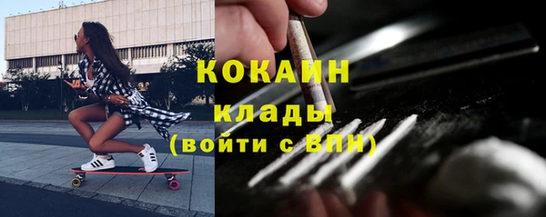 гашик Нефтекумск