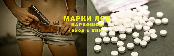 гашик Нефтекумск