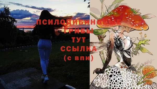 крисы Нефтегорск