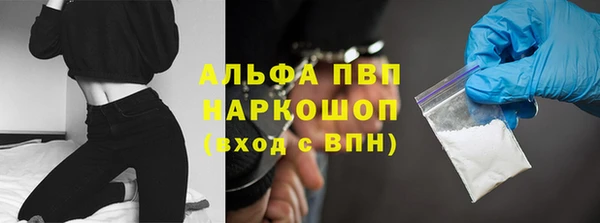 гашик Нефтекумск