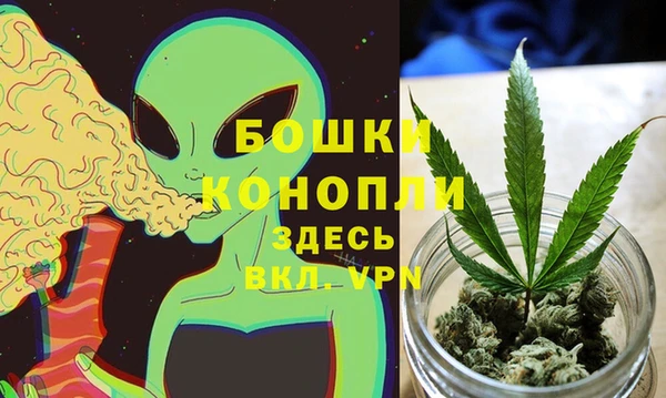 гашик Нефтекумск