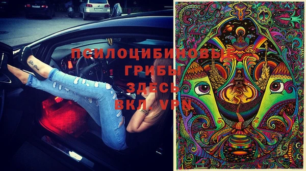 гашик Нефтекумск