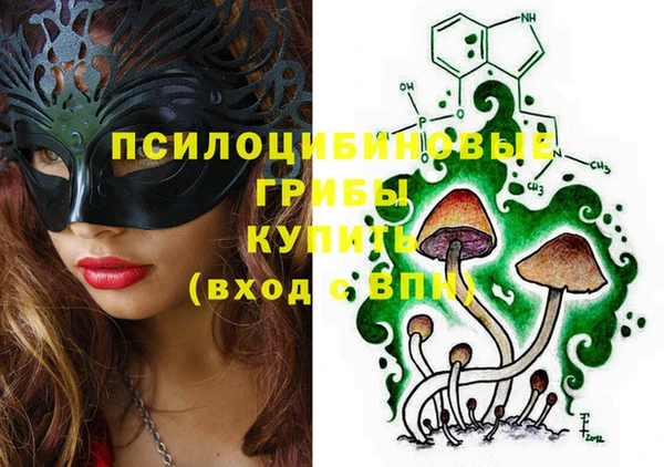гашик Нефтекумск