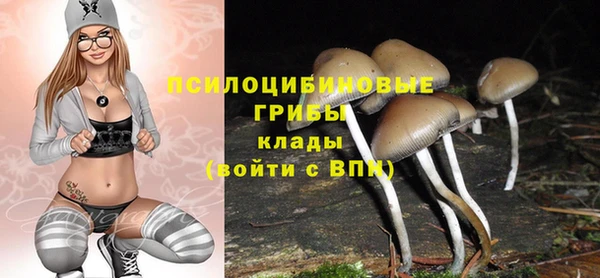 гашик Нефтекумск