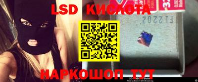 ГАЛЛЮЦИНОГЕННЫЕ ГРИБЫ Камышлов
