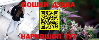 ГАЛЛЮЦИНОГЕННЫЕ ГРИБЫ Камышлов