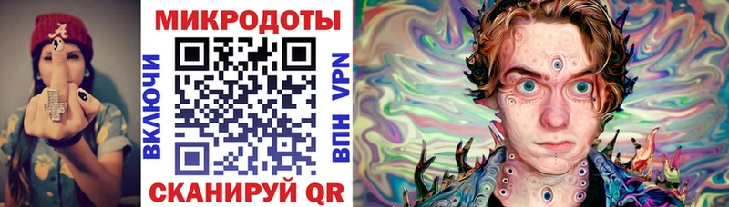 где можно купить наркотик  Кызыл  Псилоцибиновые грибы Psilocybe 
