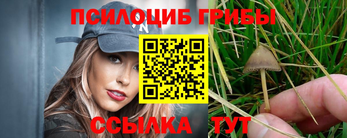 Галлюциногенные грибы Cubensis  продажа наркотиков  Вход с VPN  Кызыл  Галлюциногенные грибы мухоморы 